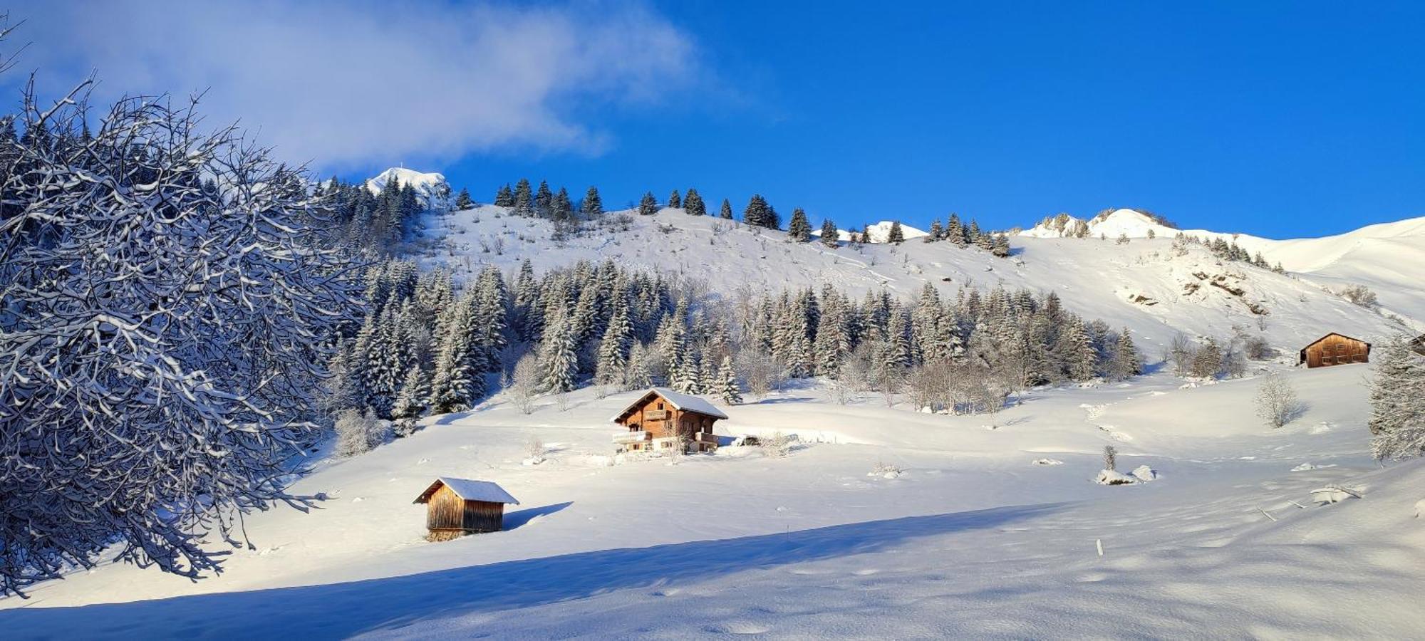 Hotel Le Taconet Le Praz de Lys Esterno foto