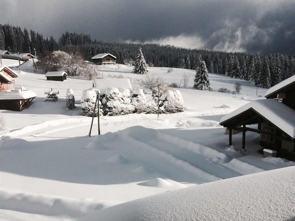 Hotel Le Taconet Le Praz de Lys Esterno foto